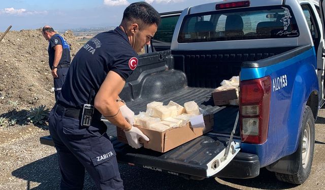 Manisa’da 49 kilo bozuk peynir imha edildi