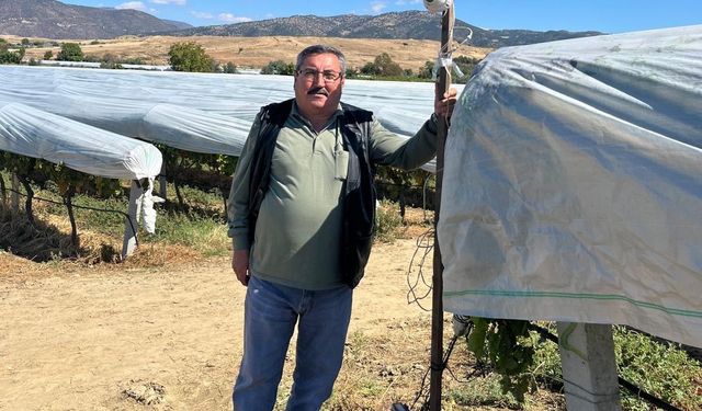 Üzüm bağını hırsızlara karşı kamera ile koruyor