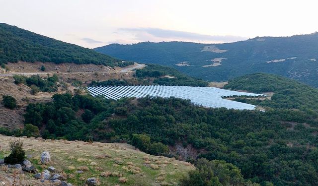 Sarıgöl’de üzüm üretici ihracatın hız kazanmasını bekliyor