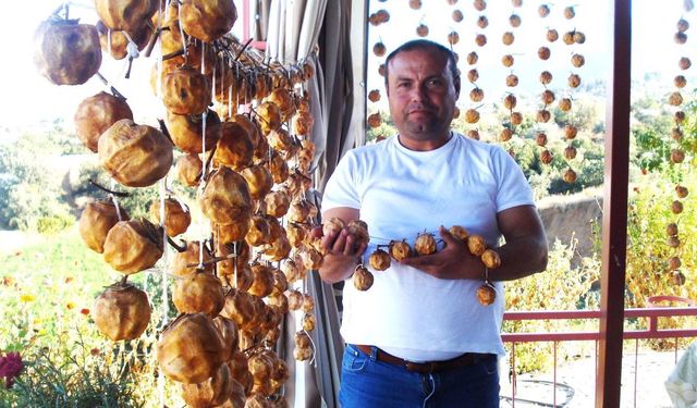 Sarıgöl’de balkonlar cennet elmasıyla renklendi