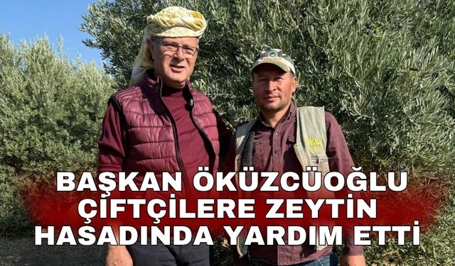 Başkan Öküzcüoğlu çiftçilere zeytin hasadında yardım etti