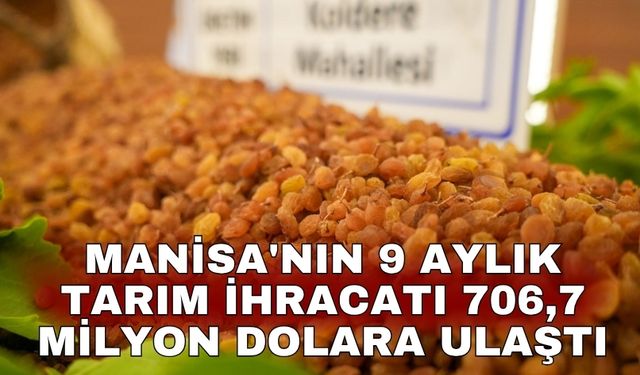 Manisa'nın 9 aylık tarım ihracatı 706,7 milyon dolara ulaştı