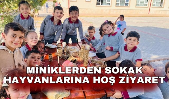 Miniklerden sokak hayvanlarına hoş ziyaret