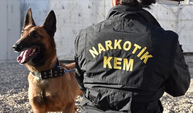 Üzüm bağına saklanan şüpheliden uyuşturucu çıktı