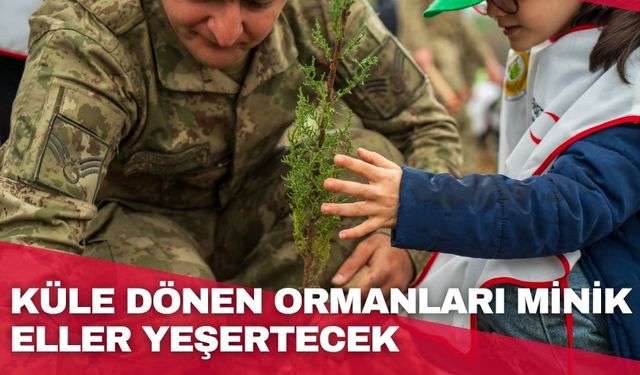 Küle dönen ormanları minik eller yeşertecek