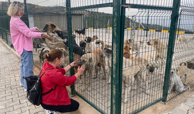 Alaşehir'de 30 dönümlük doğal yaşam alanı açıldı