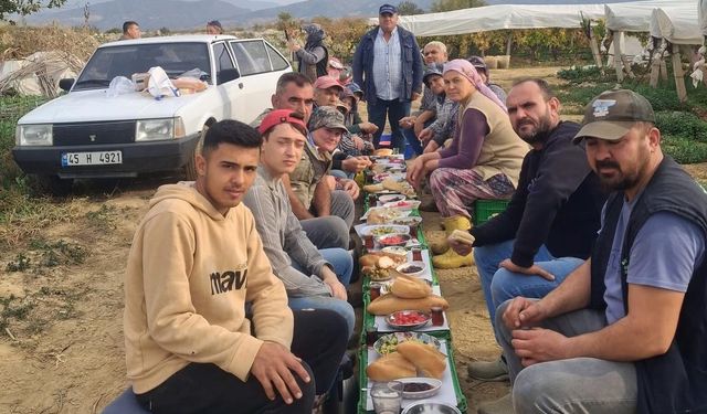 Üzüm alıcısından işçilere ziyafet