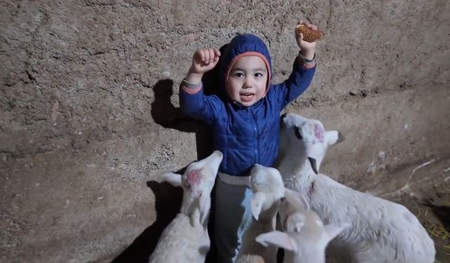 Kuzuların arasında kalan minik Yusuf’un tatlı halleri gülümsetti