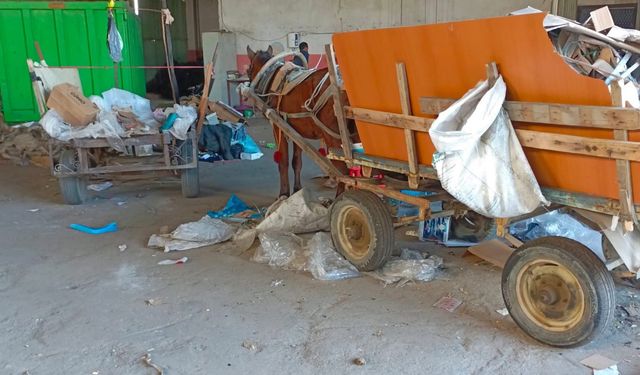 Manisa’da at arabası operasyonu: İki at arabası trafikten men edildi