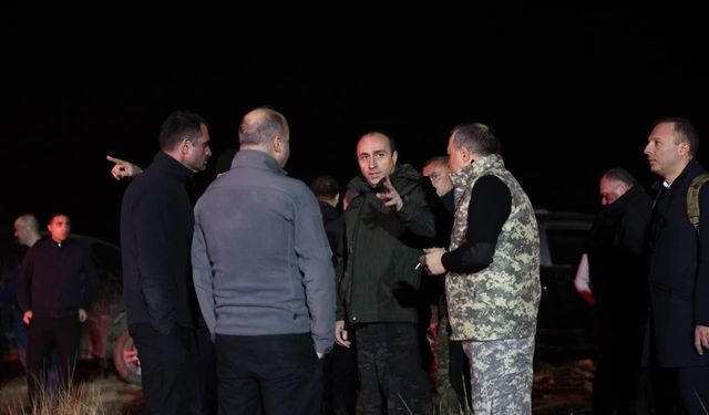 Gürcistan İçişleri Bakanı Geladze, Türkiye'ye ait asker kargo uçağının düştüğü bölgede