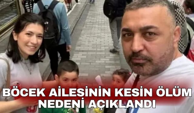 Böcek ailesinin kesin ölüm nedeni açıklandı