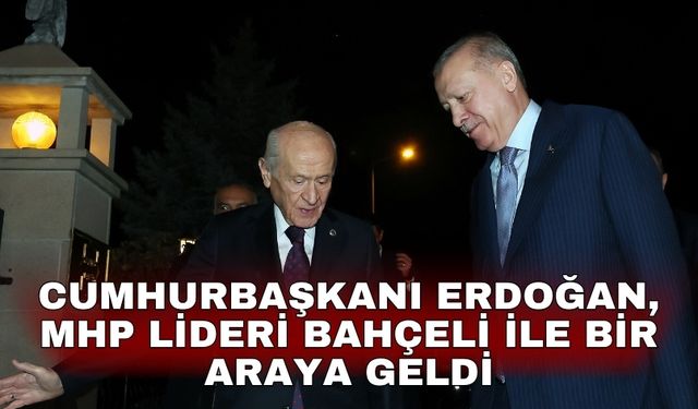 Cumhurbaşkanı Erdoğan, MHP Lideri Bahçeli ile bir araya geldi