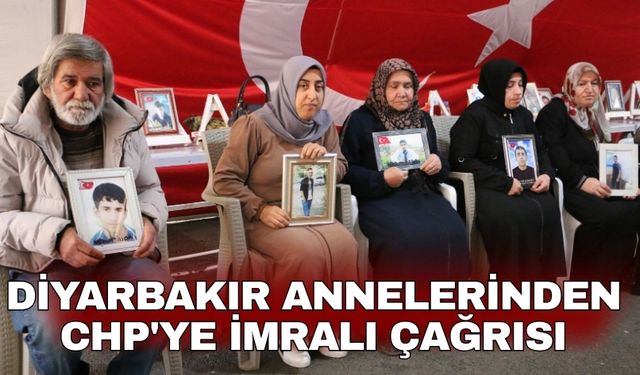 Diyarbakır annelerinden CHP'ye İmralı çağrısı