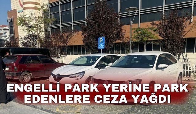 Engelli park yerine park edenlere ceza yağdı