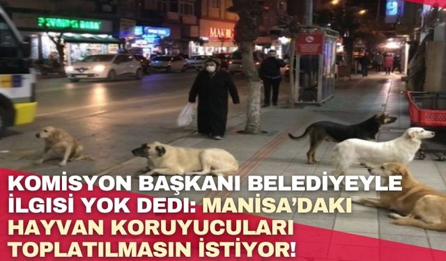 Komisyon Başkanı Belediyeyle İlgisi Yok Dedi: Manisa’daki Hayvan Koruyucuları Toplatılmasın İstiyor!