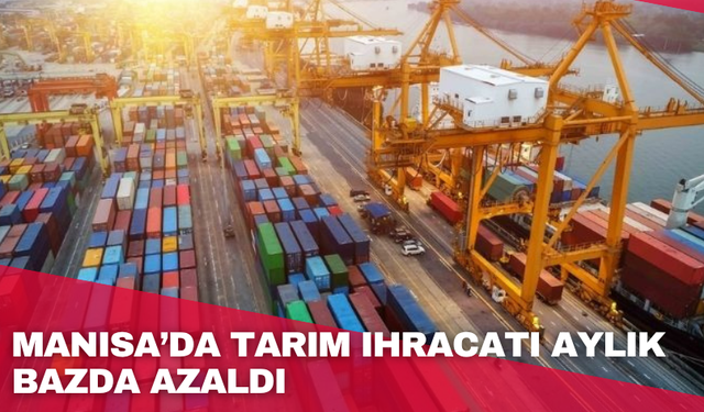 Manisa’da tarım ihracatı aylık bazda azaldı