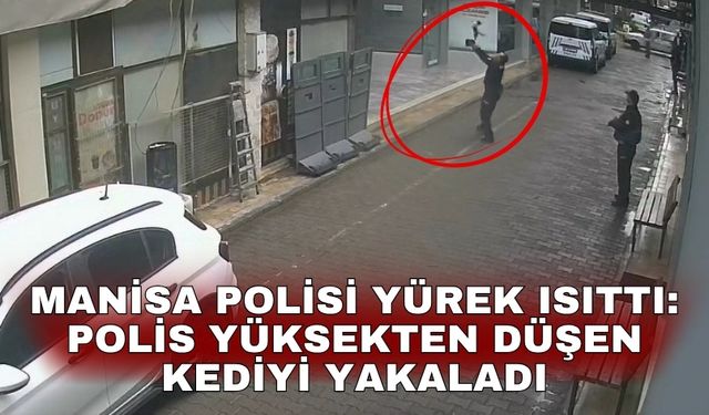 Manisa polisi yürek ısıttı: Polis yüksekten düşen kediyi yakaladı