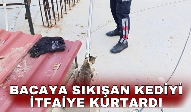 Bacaya sıkışan kediyi itfaiye kurtardı