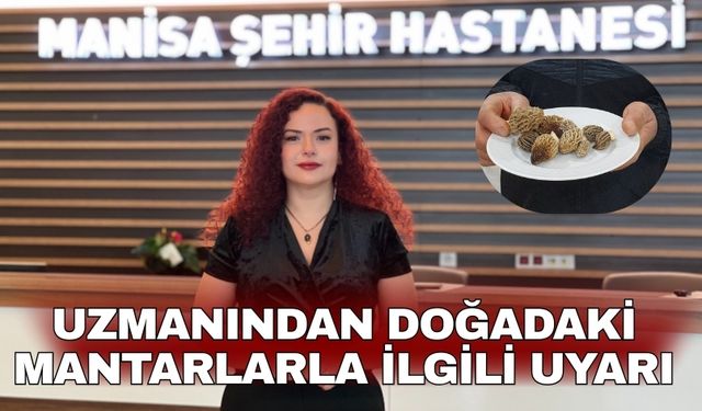 Uzmanından doğadaki mantarlarla ilgili uyarı