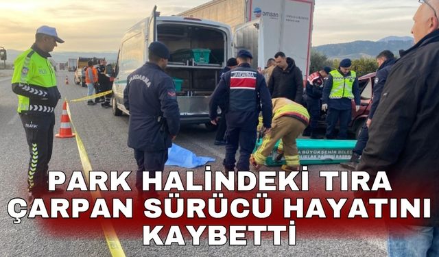 Park halindeki tıra çarpan sürücü hayatını kaybetti