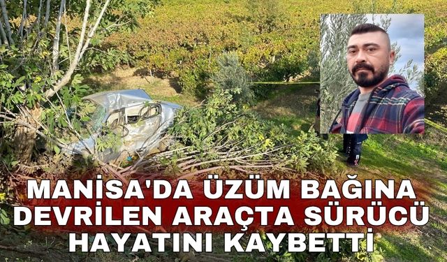 Manisa'da üzüm bağına devrilen araçta sürücü hayatını kaybetti
