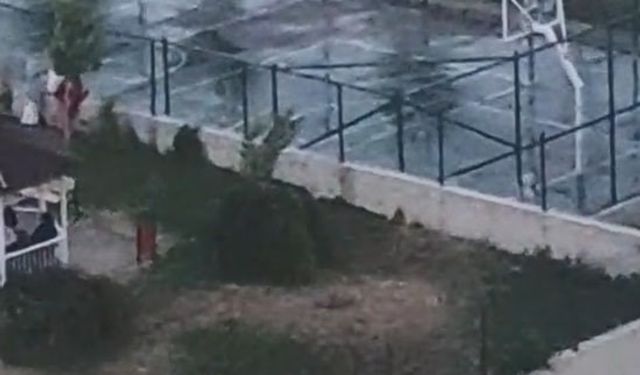 Ankara'da iki kardeşe saldıran pitbullun sahibinin, köpeğini tasmasız ve ağızlıksız gezdirdiği görüntüler ortaya çıktı