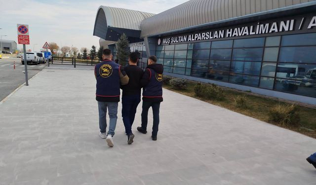 Manisa'da dolandırıcılıktan aranan şahıs Muş'ta yakalandı