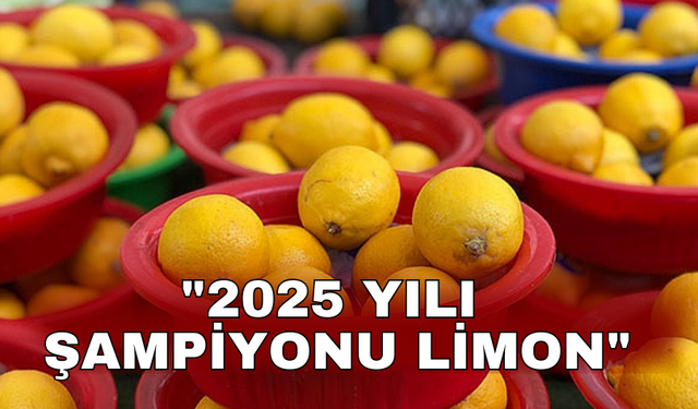 "2025 yılında, fiyatı en fazla artan ürün markette ve üreticide limon oldu"