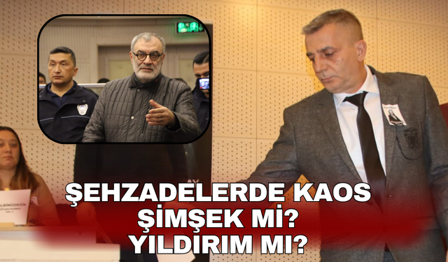 Yıldırım mı? Şimşek mi?