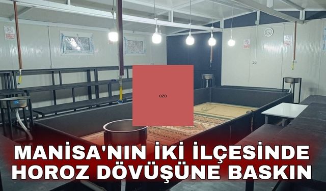 Manisa'nın iki ilçesinde horoz dövüşüne baskın