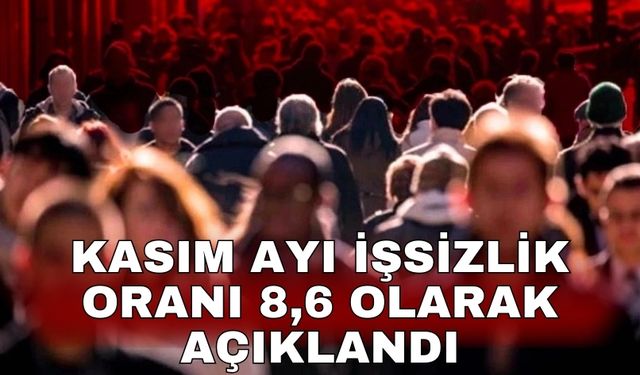 Kasım ayı işsizlik oranı 8,6 olarak açıklandı