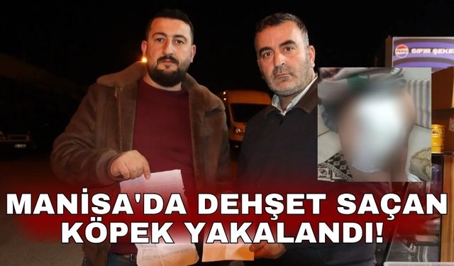 Manisa'da dehşet saçan köpek yakalandı!