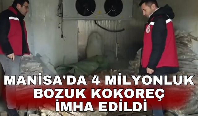 Manisa'da 4 milyonluk bozuk kokoreç imha edildi