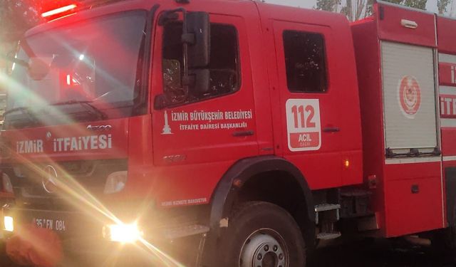 İzmir'de ev yangını hayvan damına sıçradı