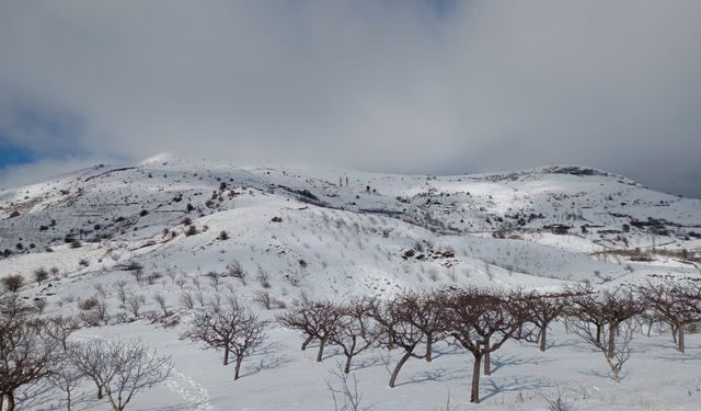Kar görmeyen Alaşehirli çocuklar karla buluşacak