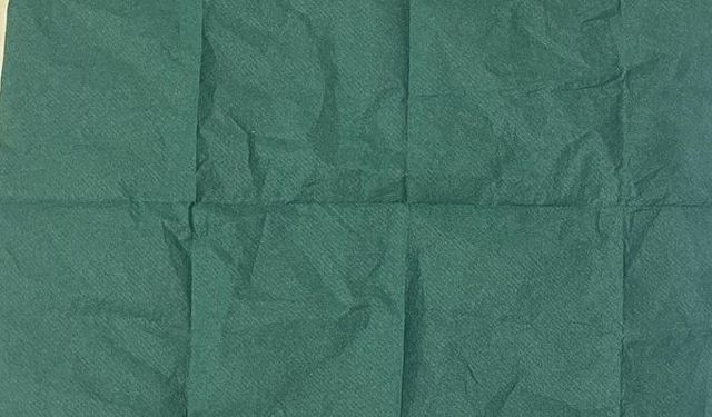 Manisa’da aranan şüpheliden 2 bin 500 içimlik uç bonzai çıktı