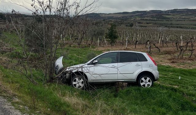 Denizli'de  aynı yolda ikinci kaza, otomobil üzüm bağına uçtu
