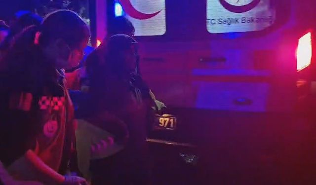 Kaybolan şehit annesi jandarma ekiplerince bulundu