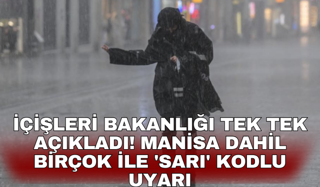 İçişleri Bakanlığı tek tek açıkladı! Manisa dahil birçok ile 'sarı' kodlu uyarı