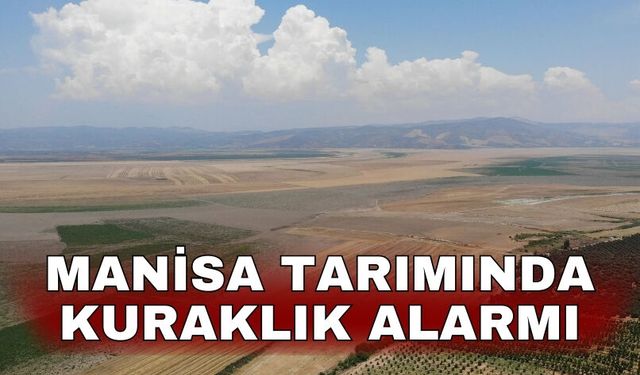 Manisa tarımında kuraklık alarmı