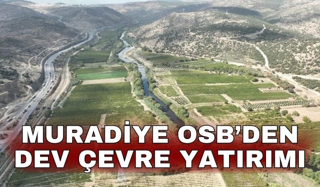 Muradiye OSB’den dev çevre yatırımı
