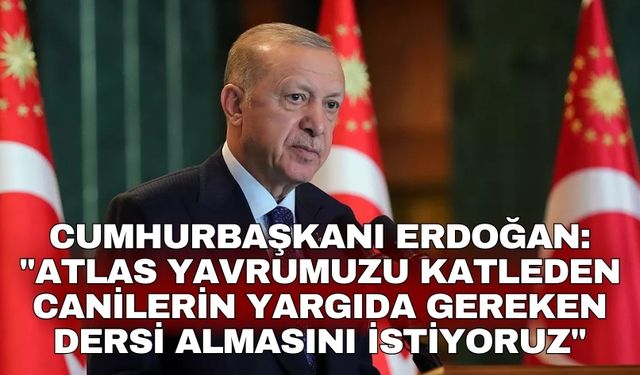 Cumhurbaşkanı Erdoğan: "Atlas yavrumuzu katleden canilerin yargıda gereken dersi almasını istiyoruz"