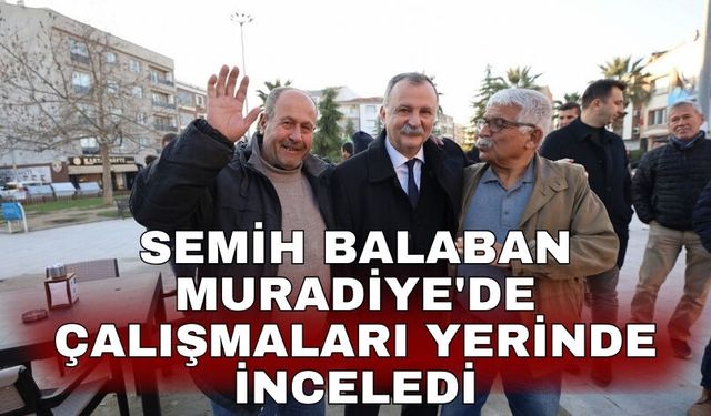 Semih Balaban Muradiye'de çalışmaları yerinde inceledi