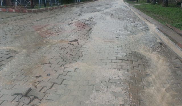 Yağmurla Spil'den gelen molozlar evleri mahvetti