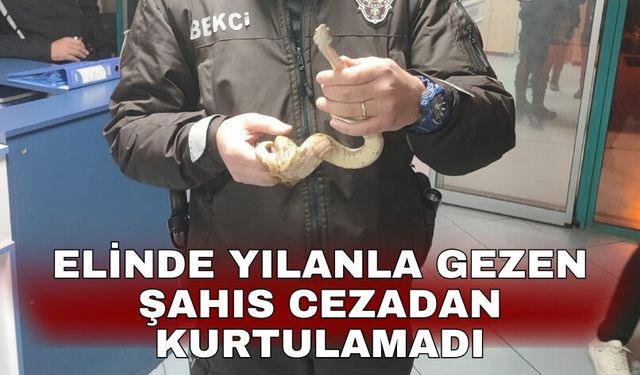 Elinde yılanla gezen şahıs cezadan kurtulamadı