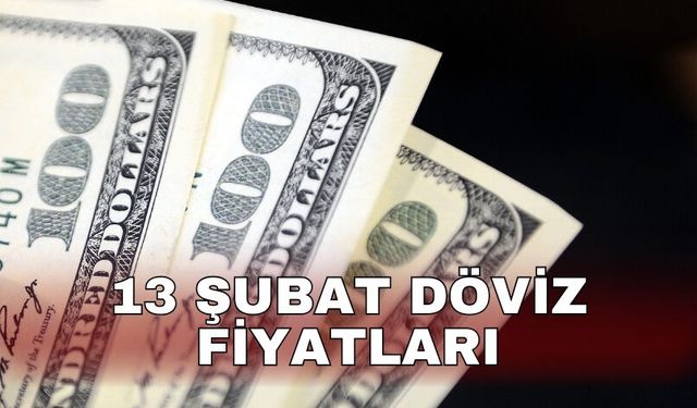 13 Şubat Döviz fiyatları