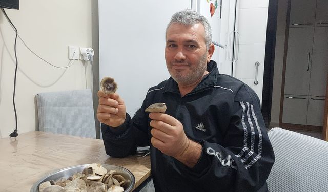 Sarıgöl'de ağaçlar çiçek açtı, dağlar mantar doldu