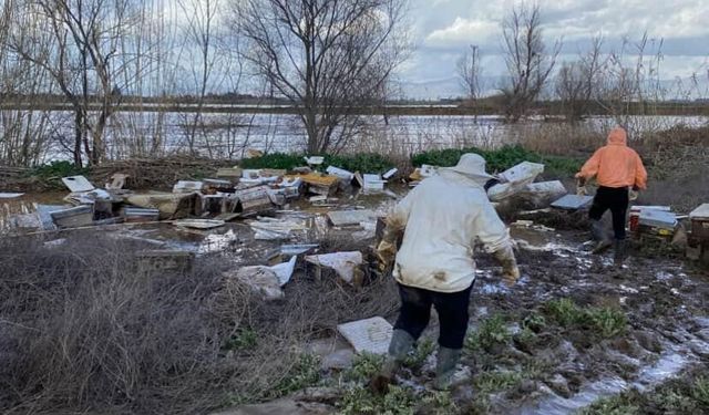 Salihli’de 103 kovan arı sele kapıldı