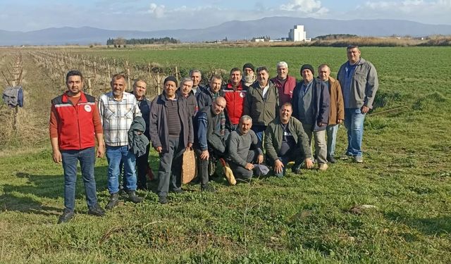 Salihli’de üreticilere budama ve gübreleme eğitimi