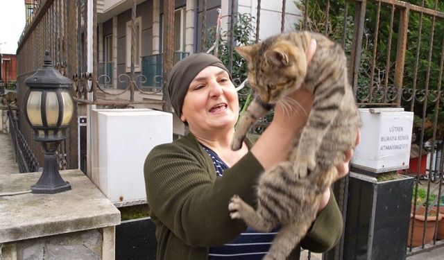 20 yıldır sokak kedilerine annelik yapıyor: "Sadece sevgi istiyorlar"